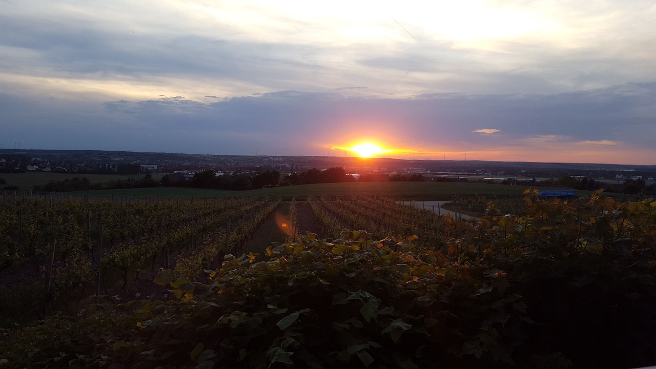 Photo of Others in Kitzingen