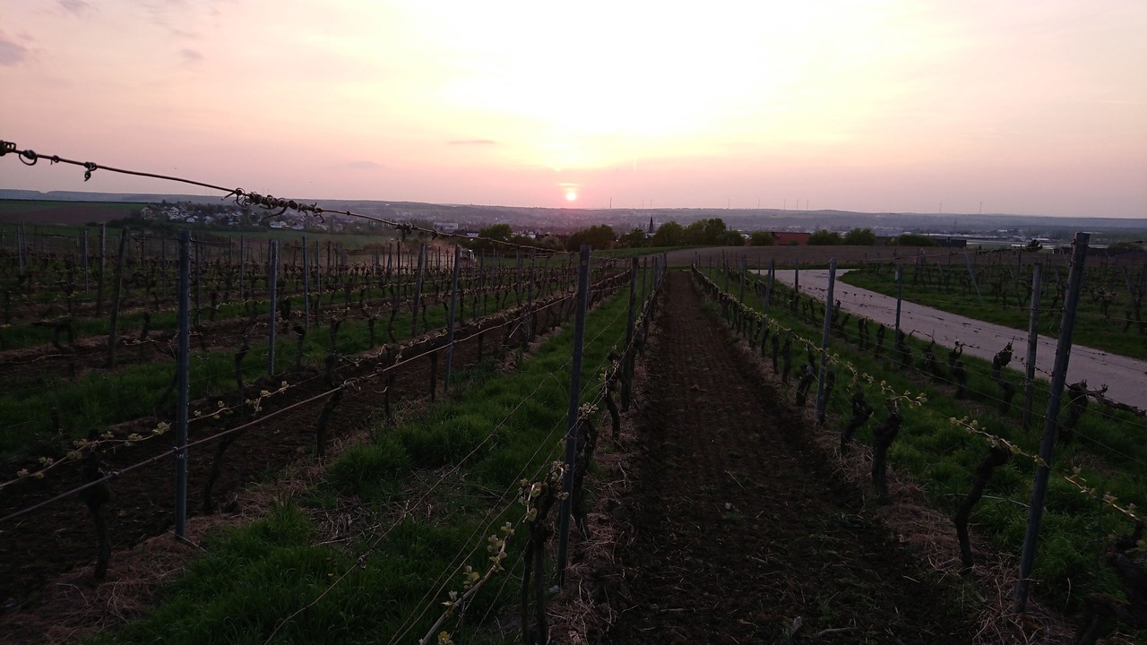 Photo of Outdoor in Kitzingen