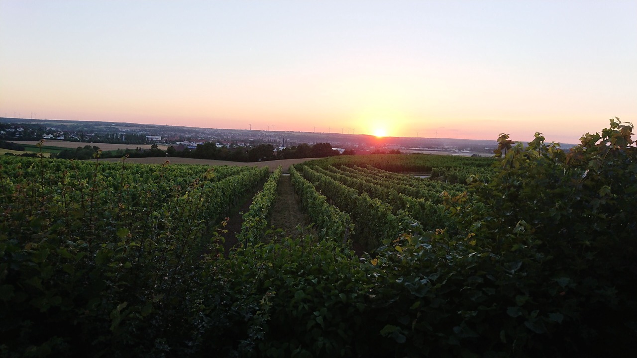 Photo of Others in Kitzingen