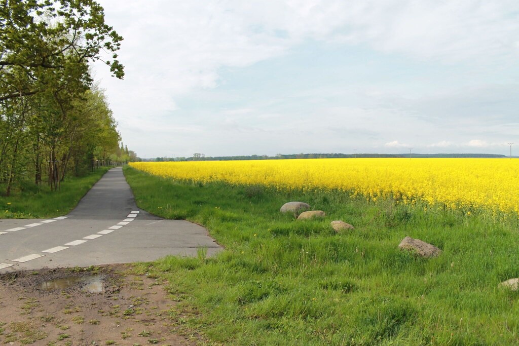 Photo of Others in Steffenshagen