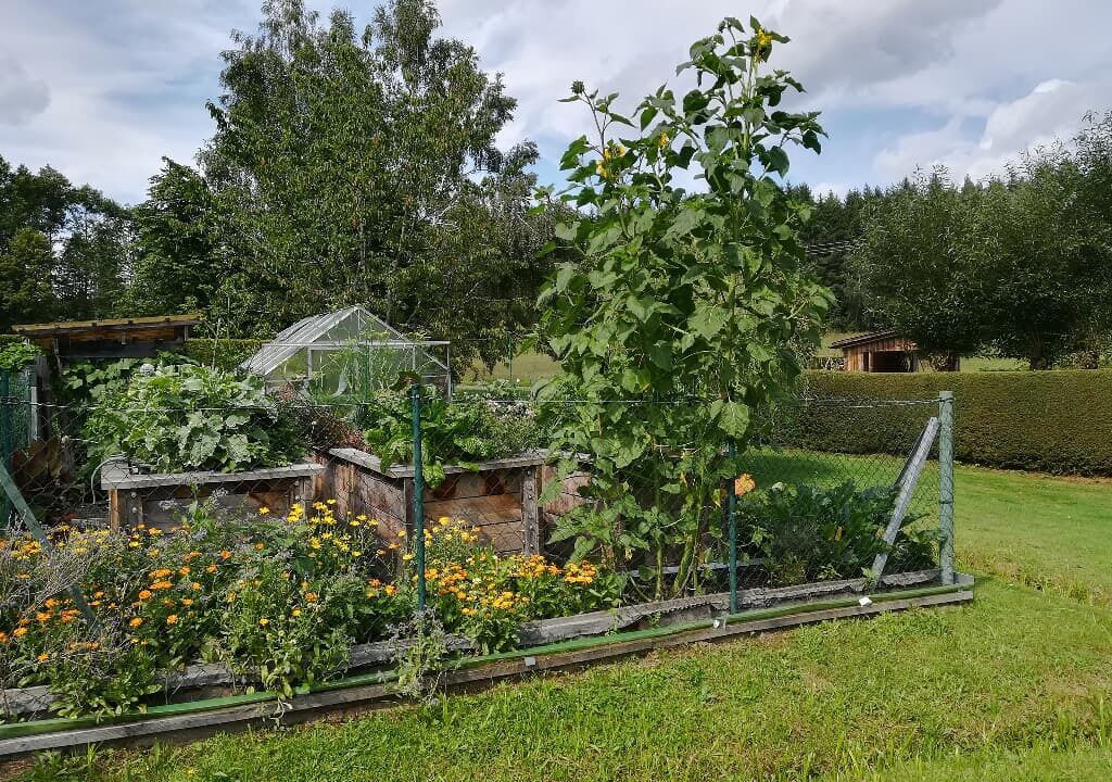 Photo of Outdoor in Bad Koetzting