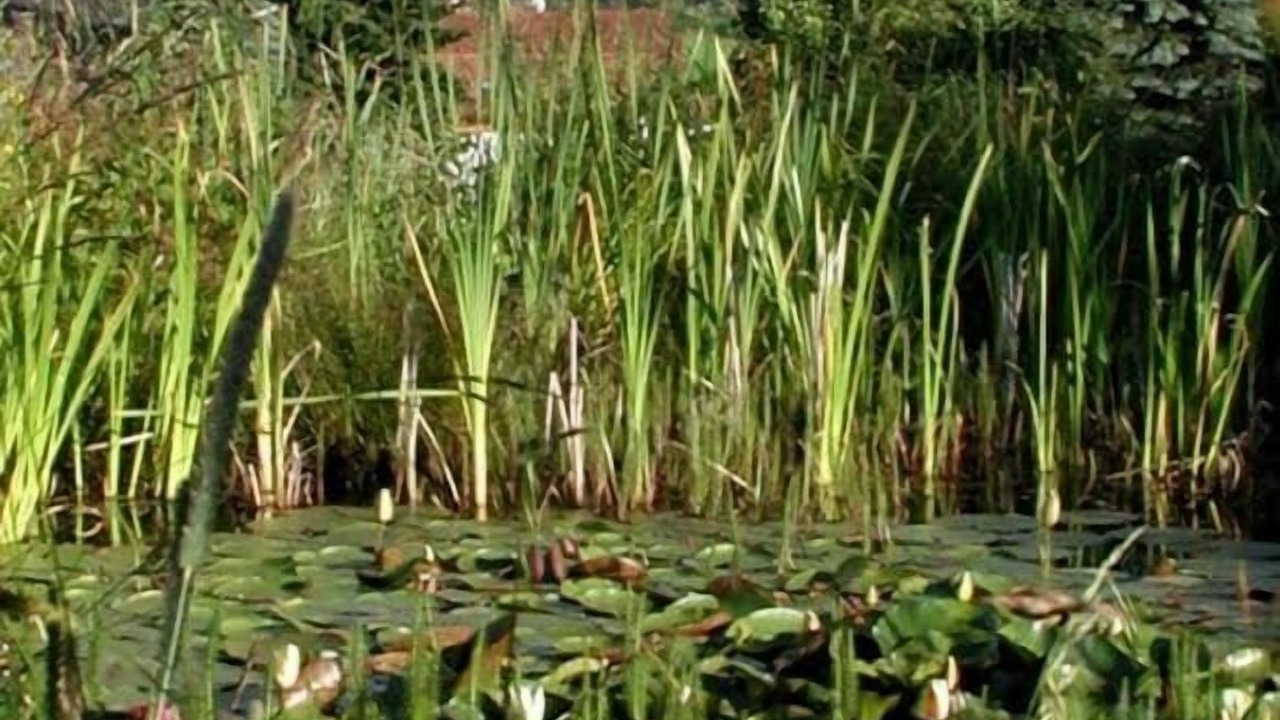 Photo of Outdoor in Lam