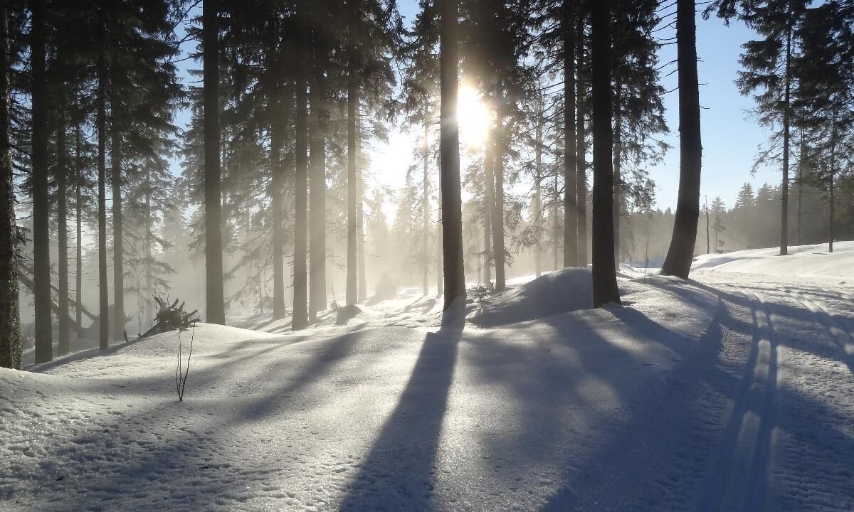 Photo of Outdoor in Silberberg
