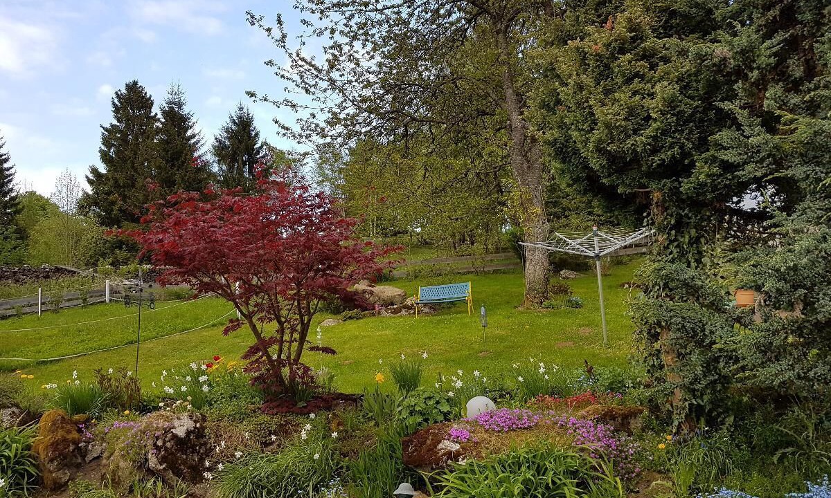Photo of Outdoor in Heinrichsbrunn