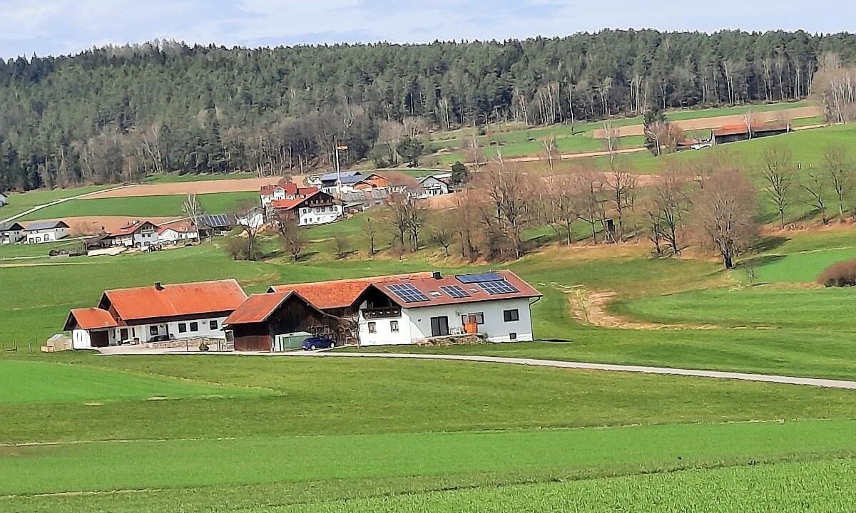 Photo of Outdoor in Zandt