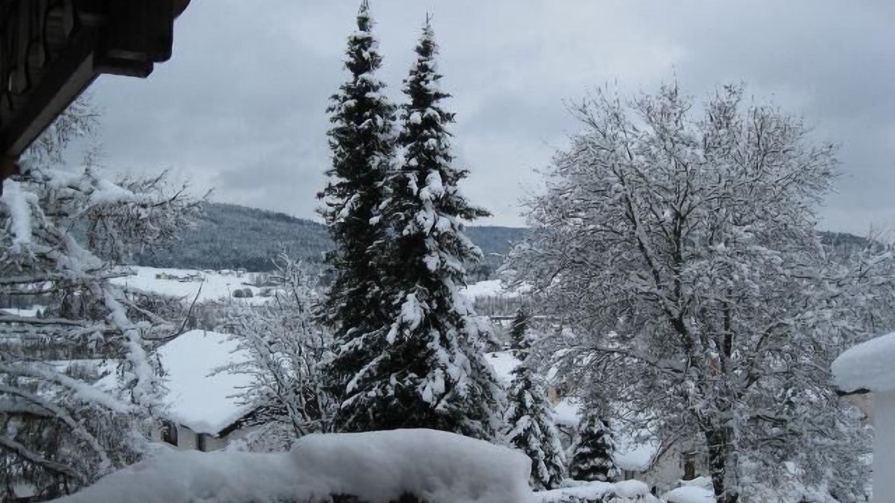 Photo of Outdoor in Zwiesel