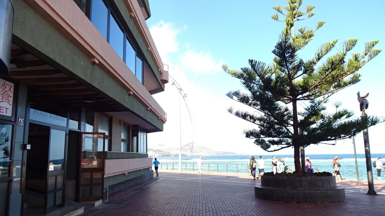 Photo of Others in Las Palmas de Gran Canaria