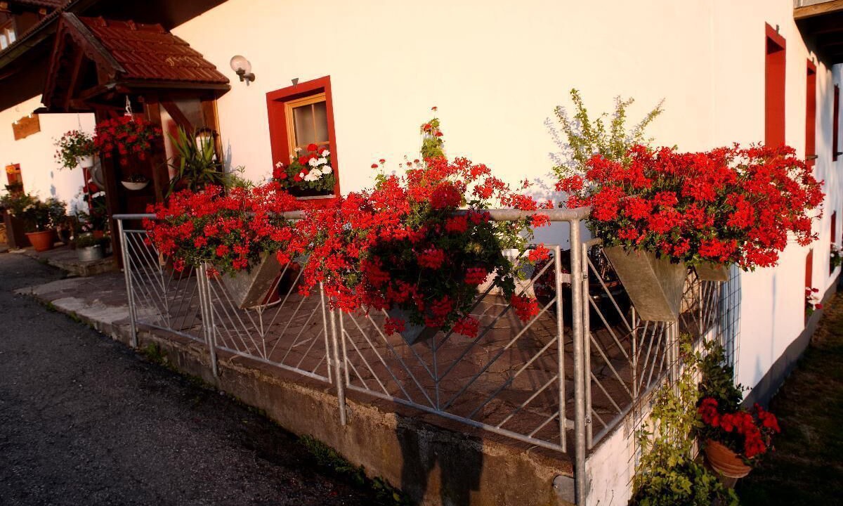 Photo of Outdoor in Hohenau
