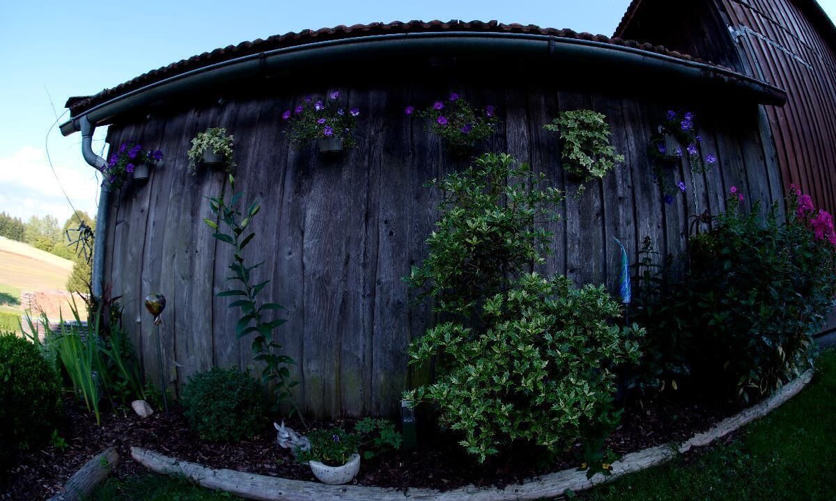 Photo of Outdoor in Hohenau
