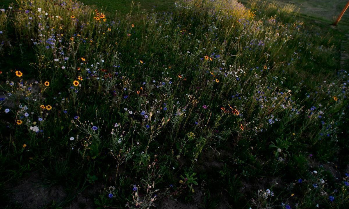 Photo of Outdoor in Hohenau