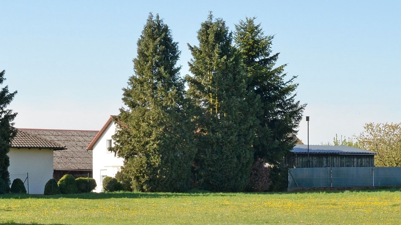 Photo of Others in Riedenburg