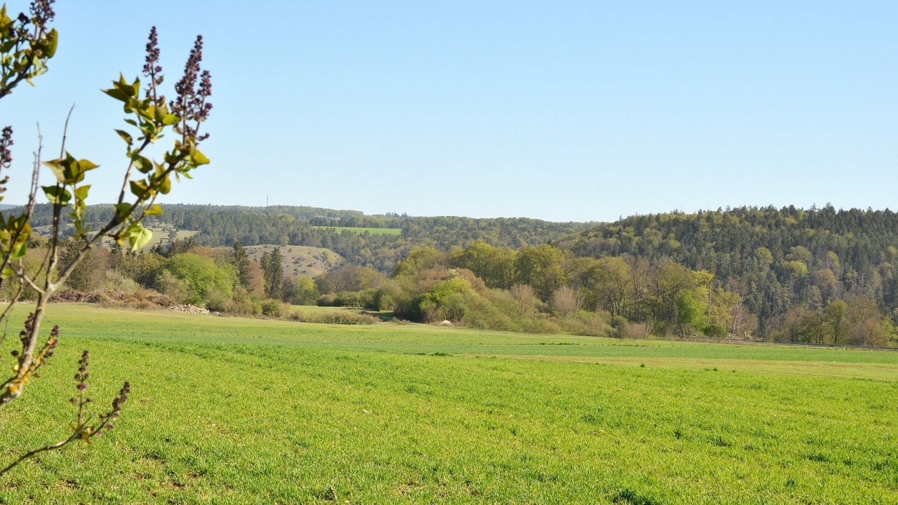 Photo of Outdoor in Riedenburg