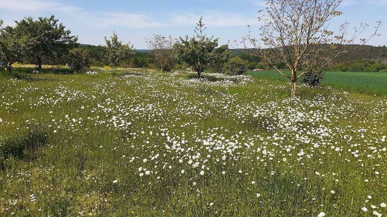 Photo of Outdoor in Riedenburg