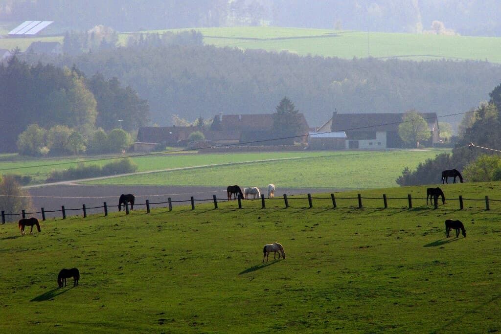 Photo of Others in Neunburg vorm Wald