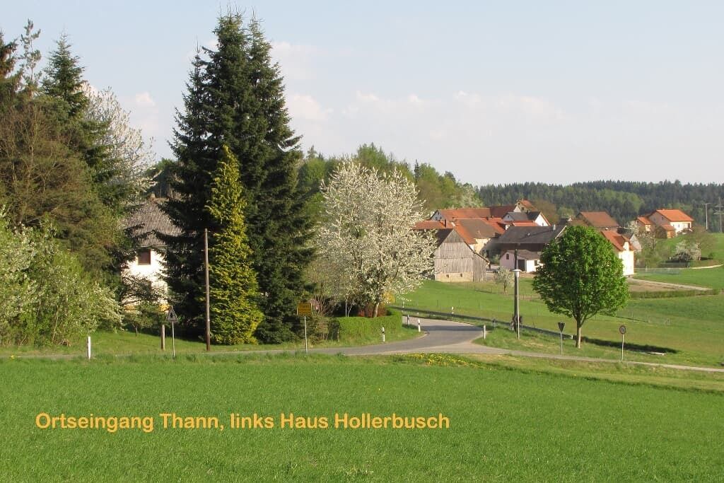 Photo of Others in Neunburg vorm Wald