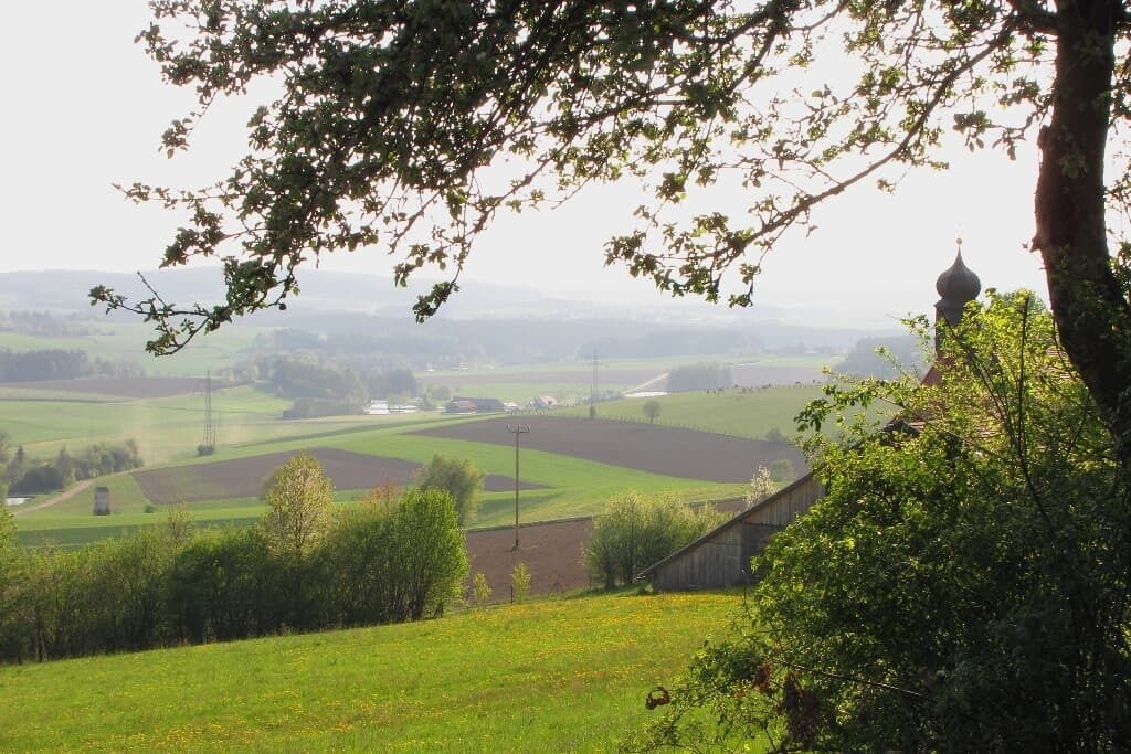 Photo of Others in Neunburg vorm Wald