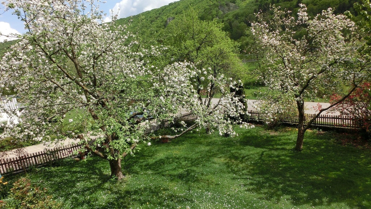 Photo of Outdoor in Riedenburg