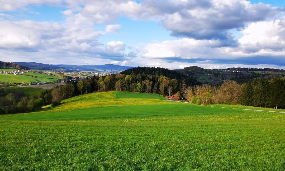 Photo of Others in Waldkirchen