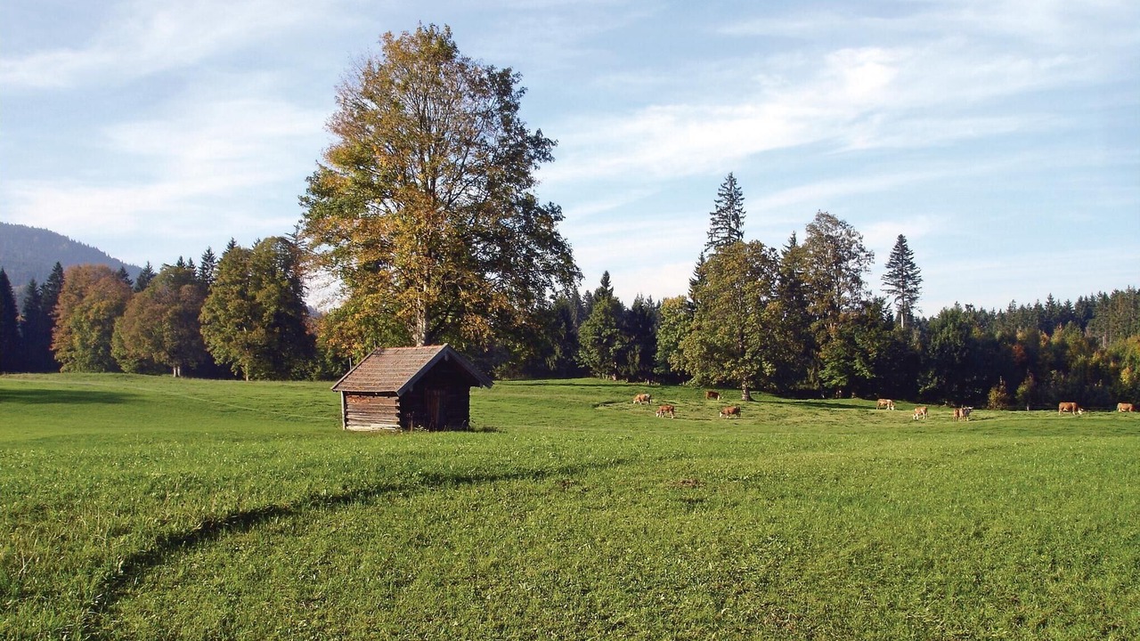 Photo of Others in Fischbachau