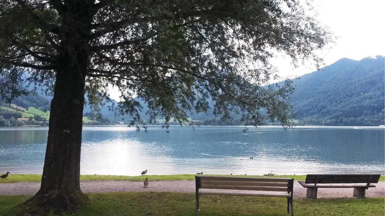 Photo of Others in Fischbachau