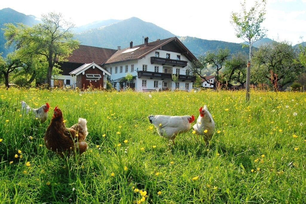 Photo of Outdoor in Schleching