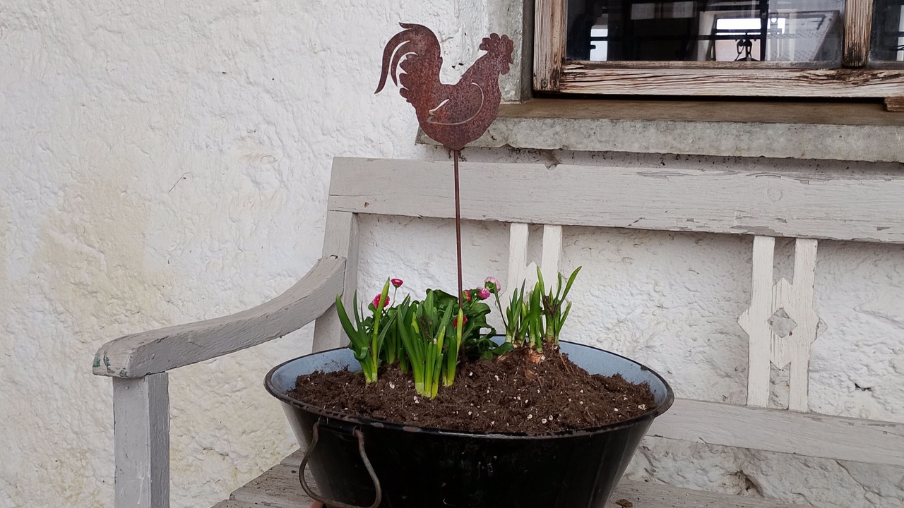 Photo of Outdoor in Schleching