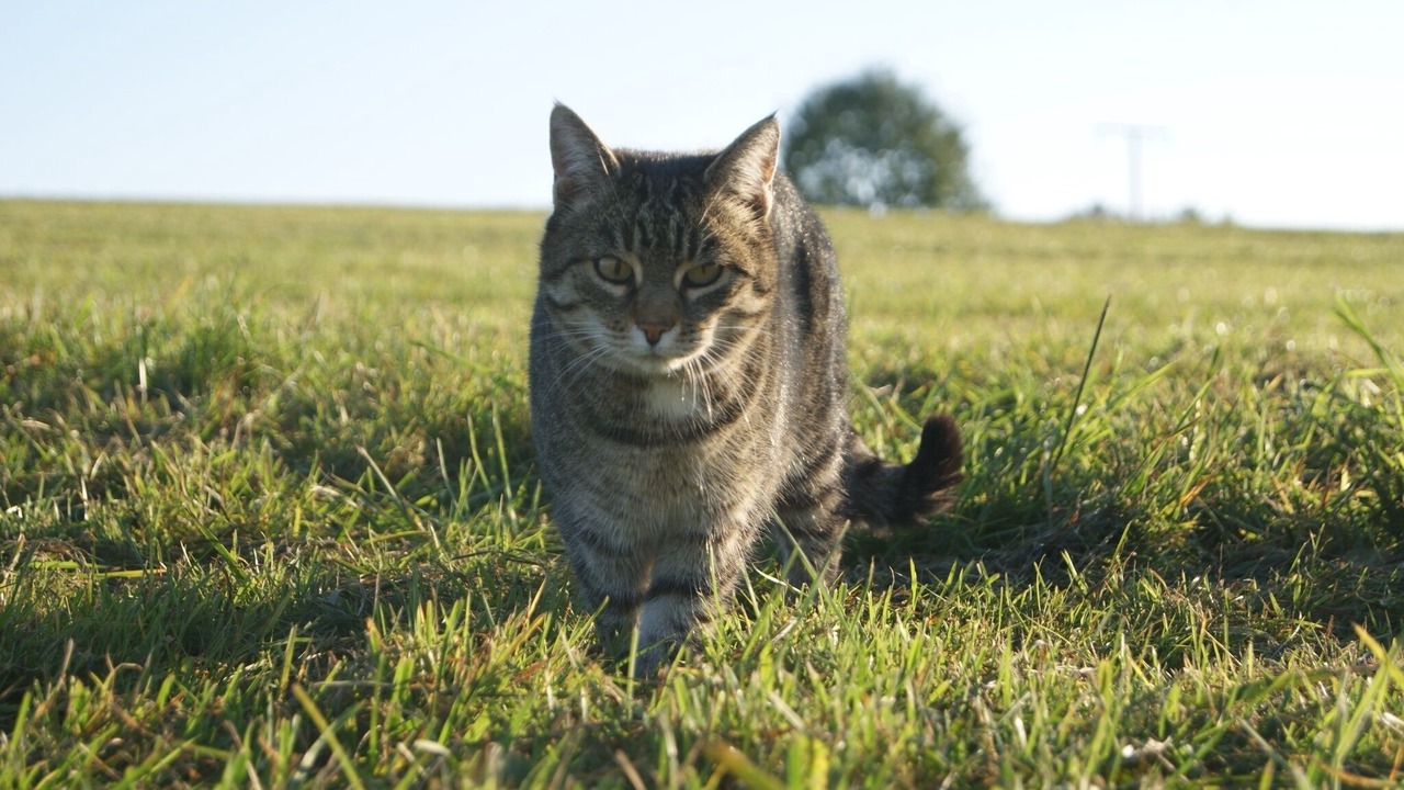 Photo of Outdoor in Seeon-Seebruck