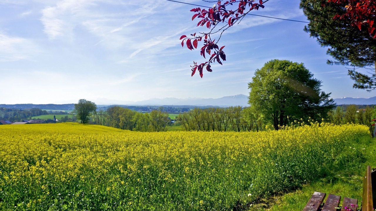 Photo of Outdoor in Seeon-Seebruck