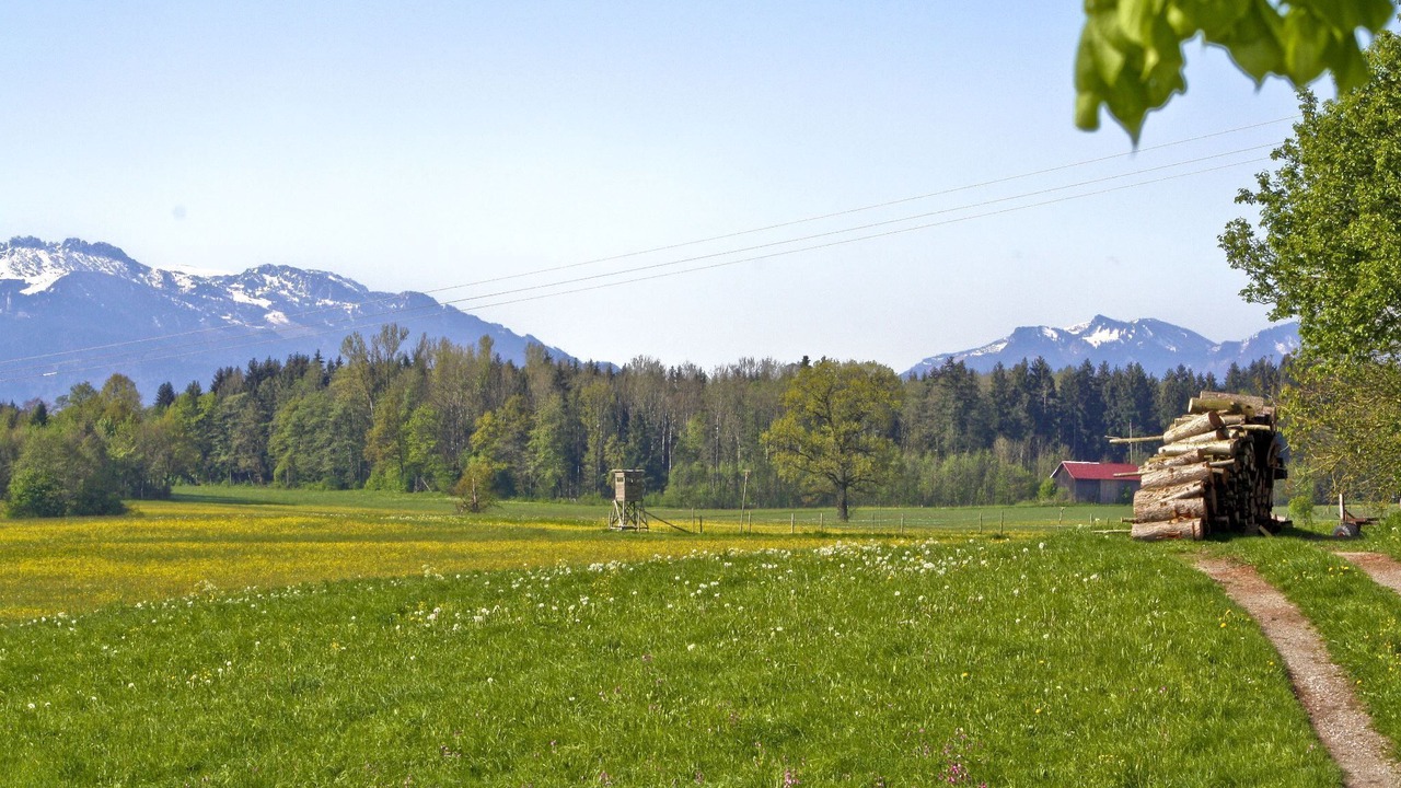 Photo of Others in Seeon-Seebruck