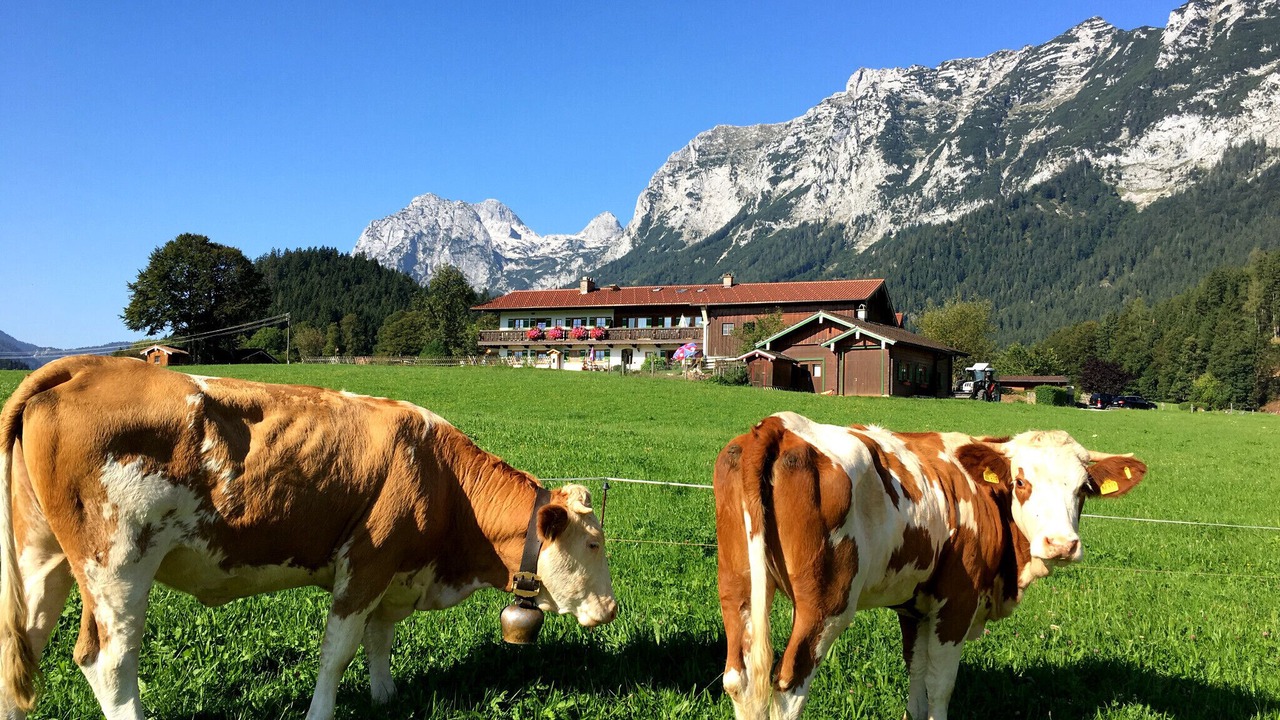 Photo of Outdoor in Ramsau bei Berchtesgaden