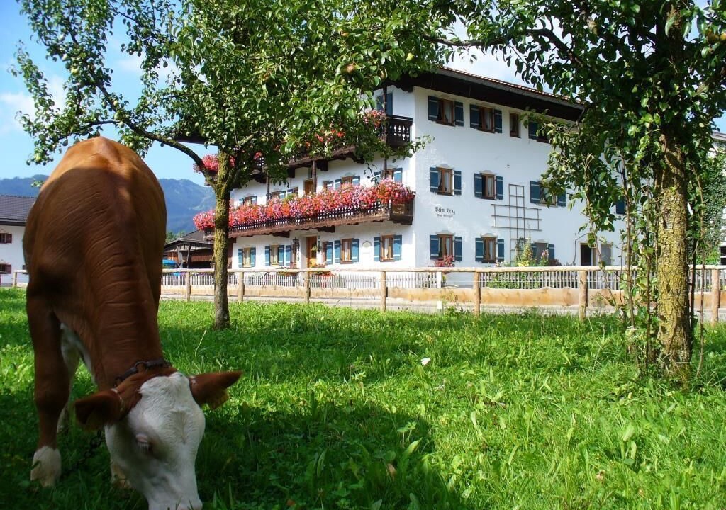 Photo of Outdoor in Schleching