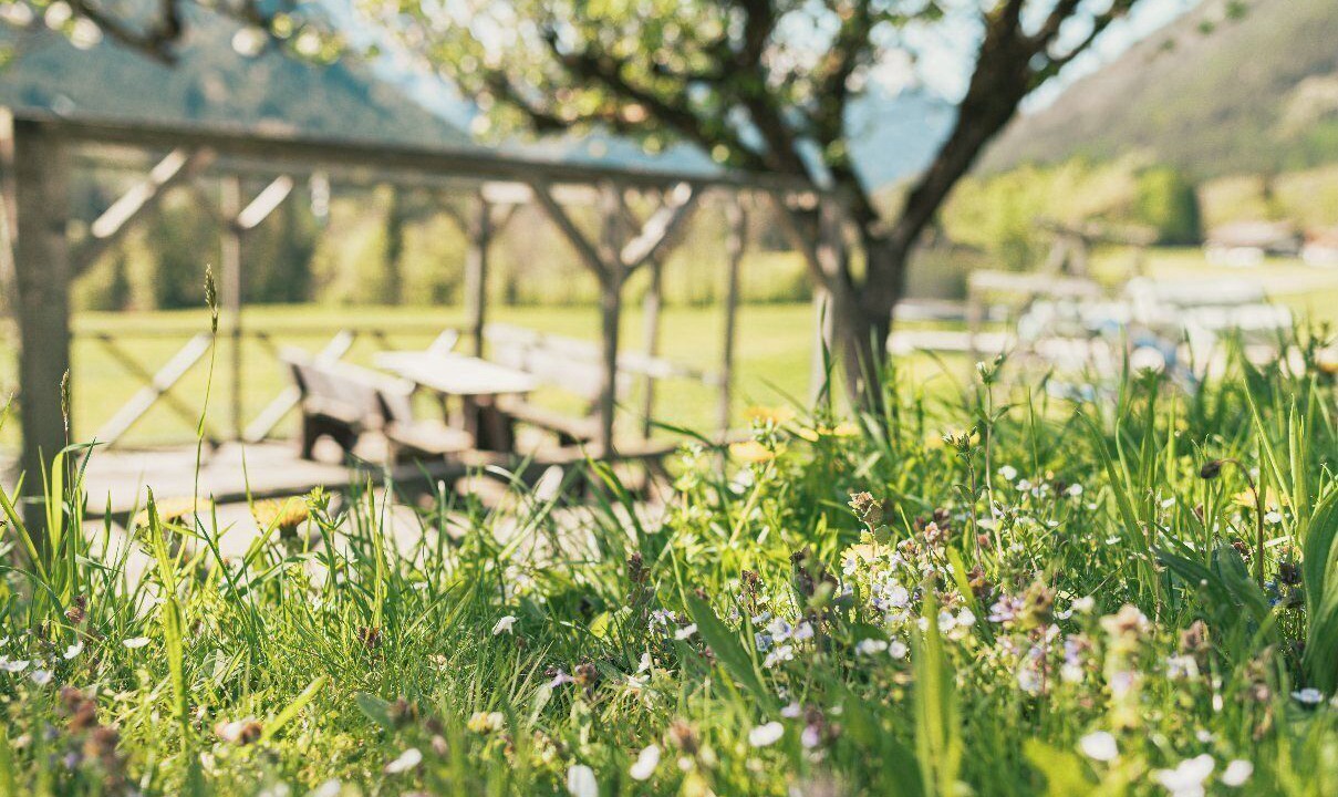 Photo of Outdoor in Ramsau bei Berchtesgaden