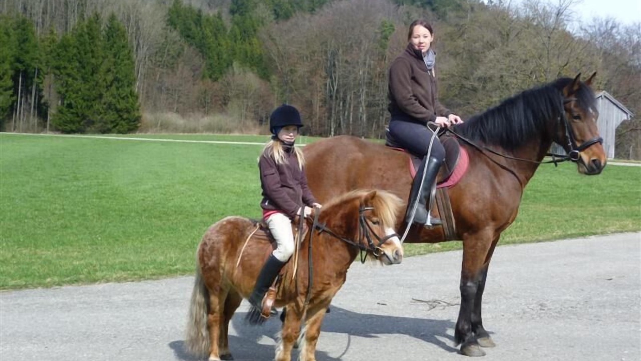 Photo of Others in Seeon-Seebruck