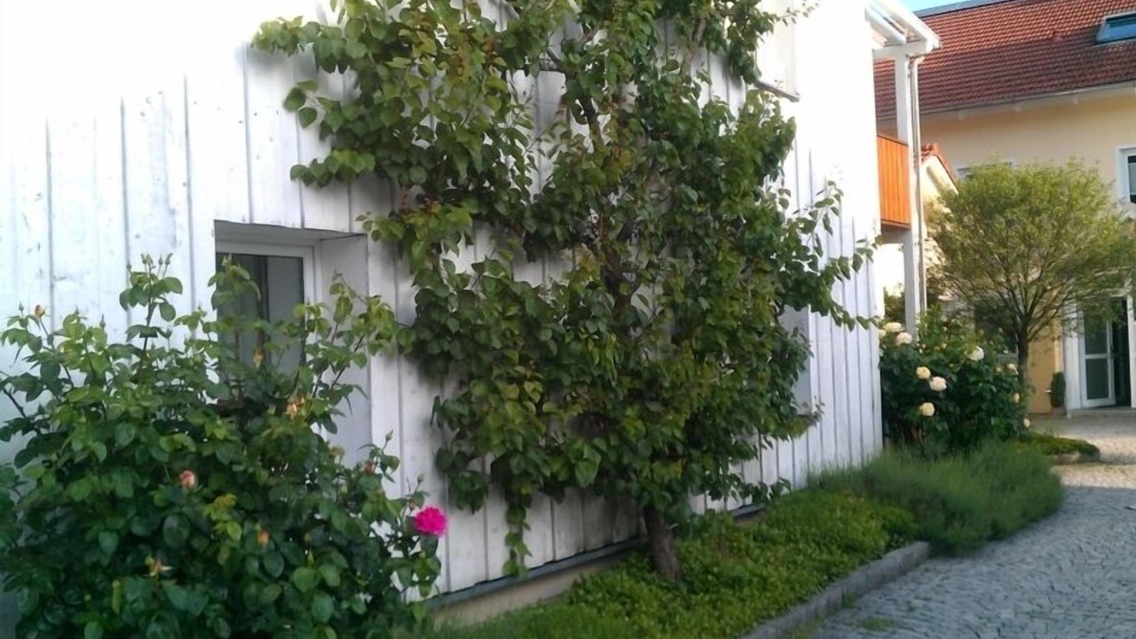 Photo of Outdoor in Altotting
