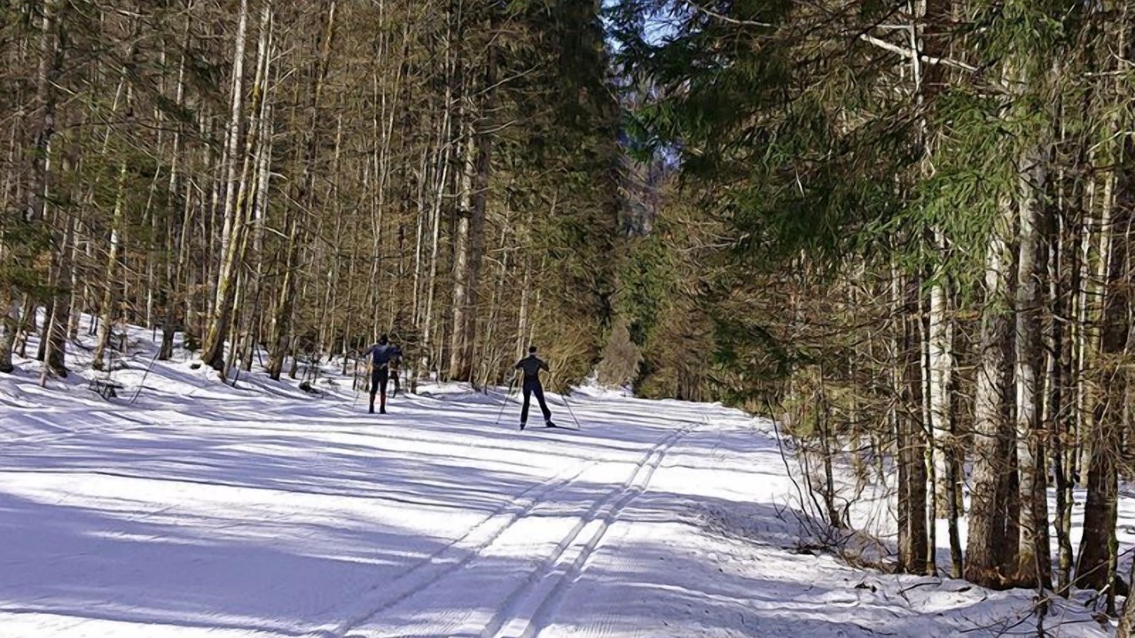 Photo of Others in Groissenbach