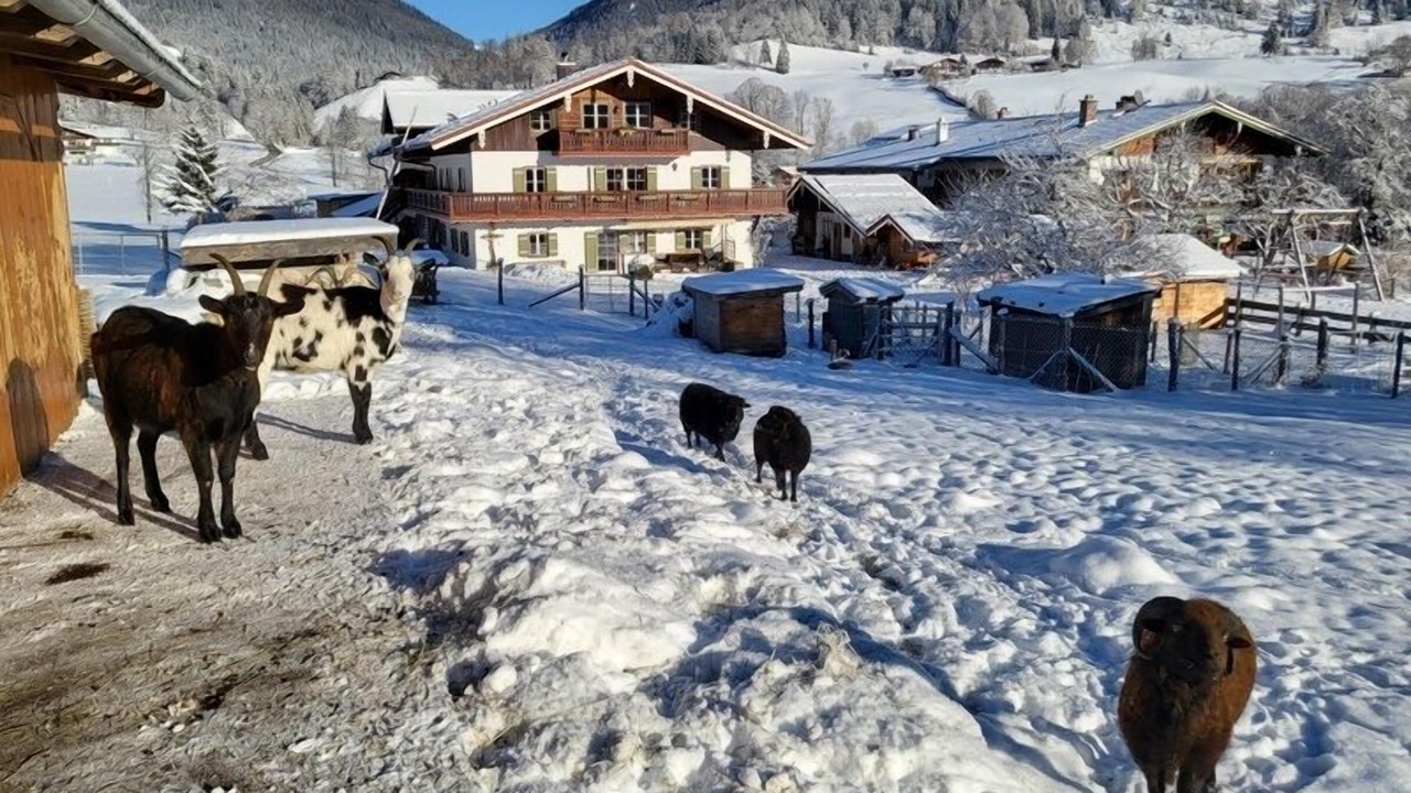 Photo of Others in Ramsau bei Berchtesgaden