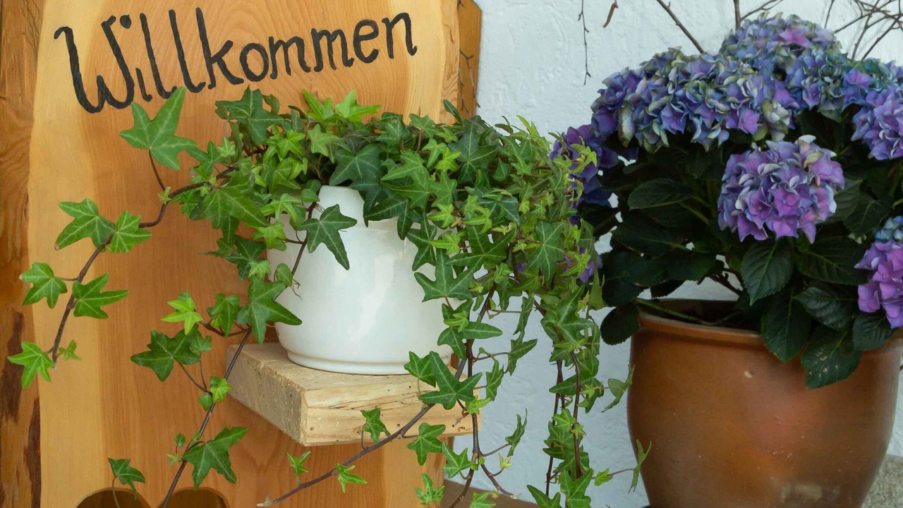 Photo of Outdoor in Bernau am Chiemsee