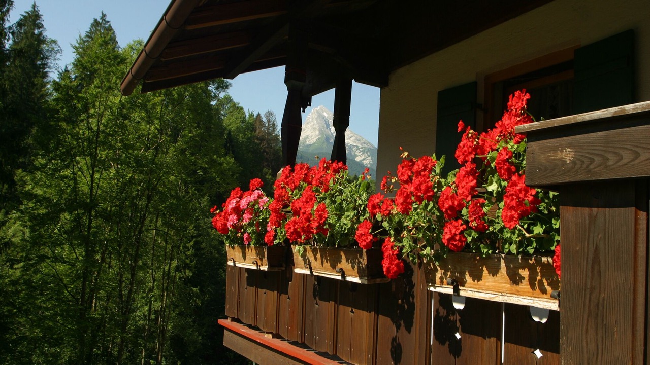 Photo of Outdoor in Gmain