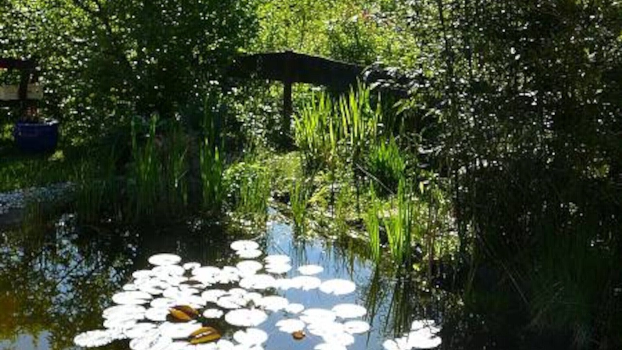 Photo of Outdoor in Unterschonau