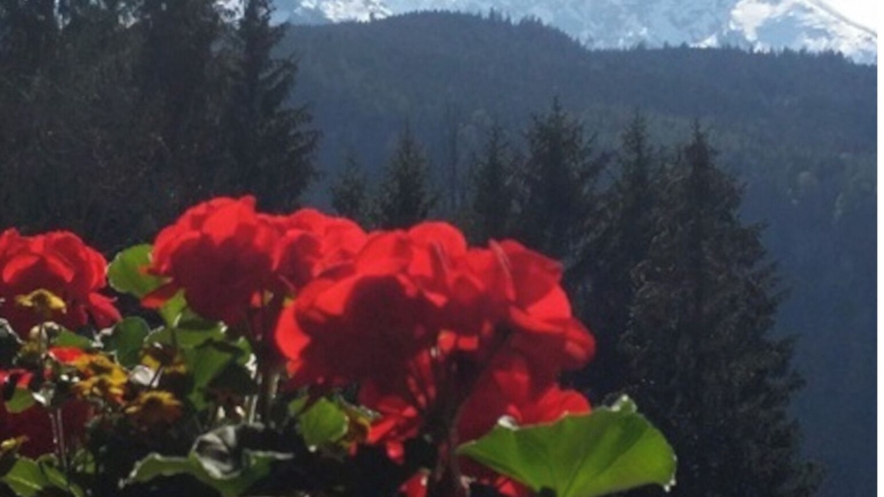 Photo of Others in Schoenau am Koenigssee