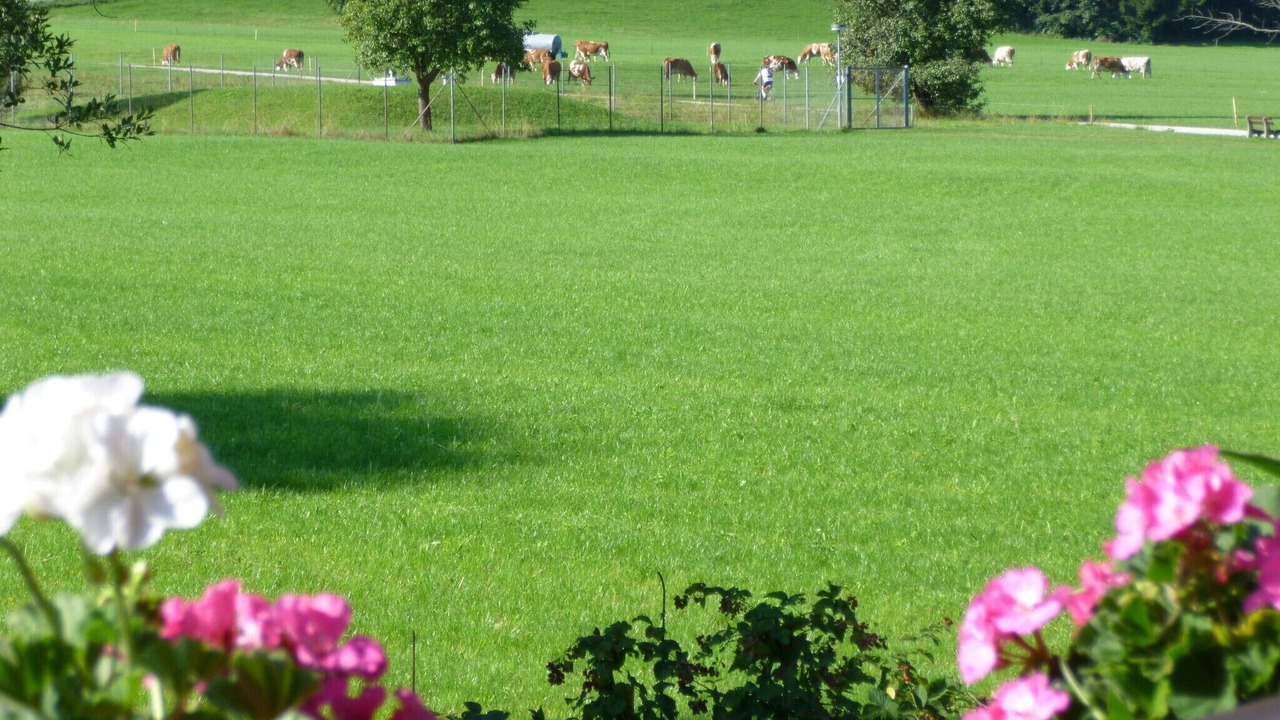 Photo of Outdoor in Bernau am Chiemsee
