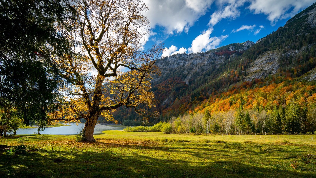 Photo of Others in Ruhpolding