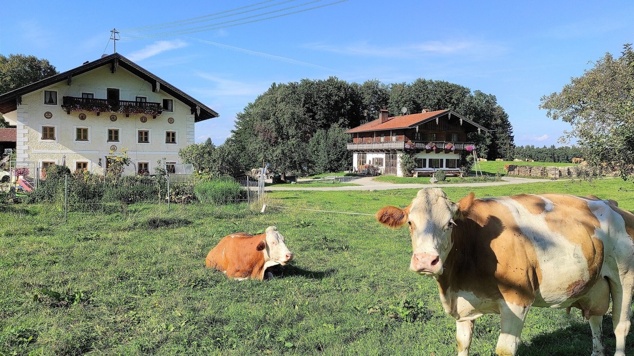 Photo of Outdoor in Frasdorf