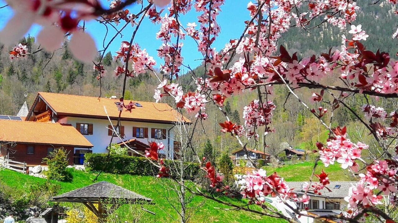 Photo of Outdoor in Ramsau
