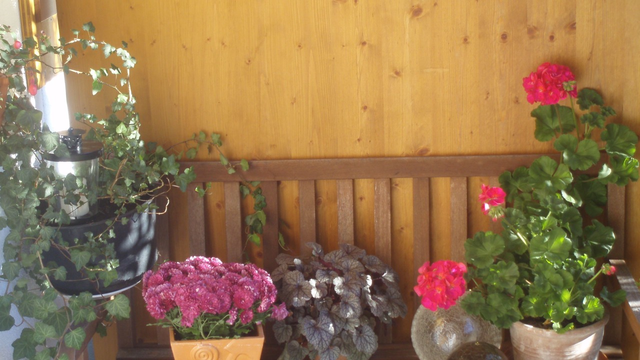 Photo of Others in Ramsau