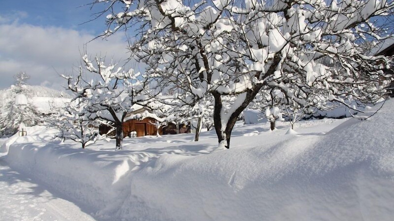 Photo of Outdoor in Blindau