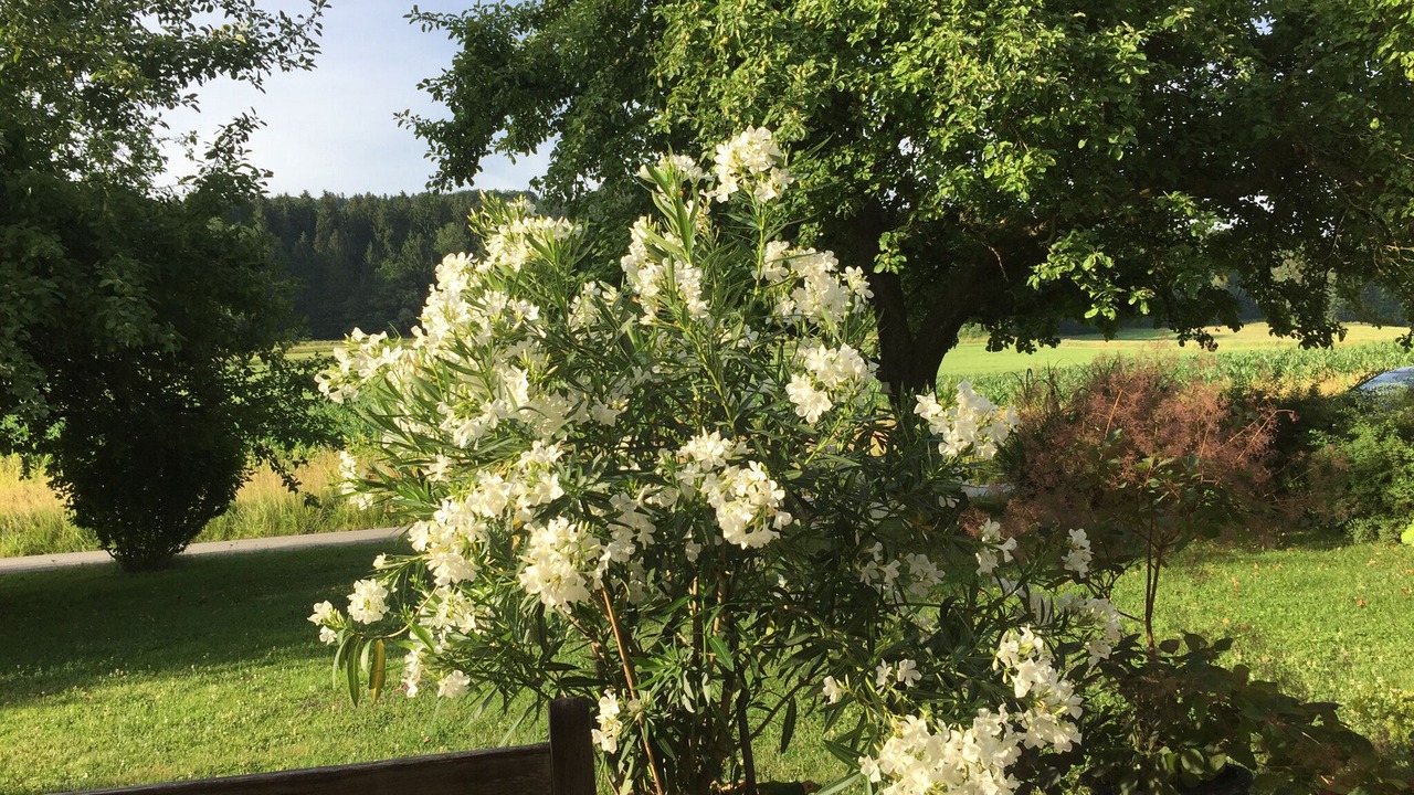 Photo of Outdoor in Antwort