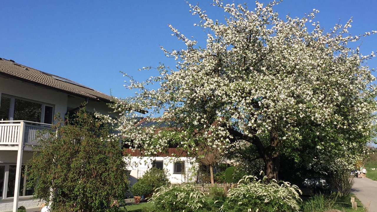 Photo of Outdoor in Antwort