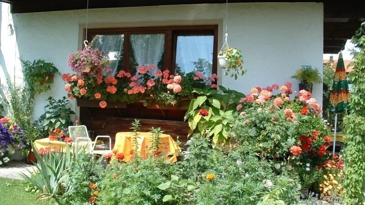 Photo of Outdoor in Bibelod