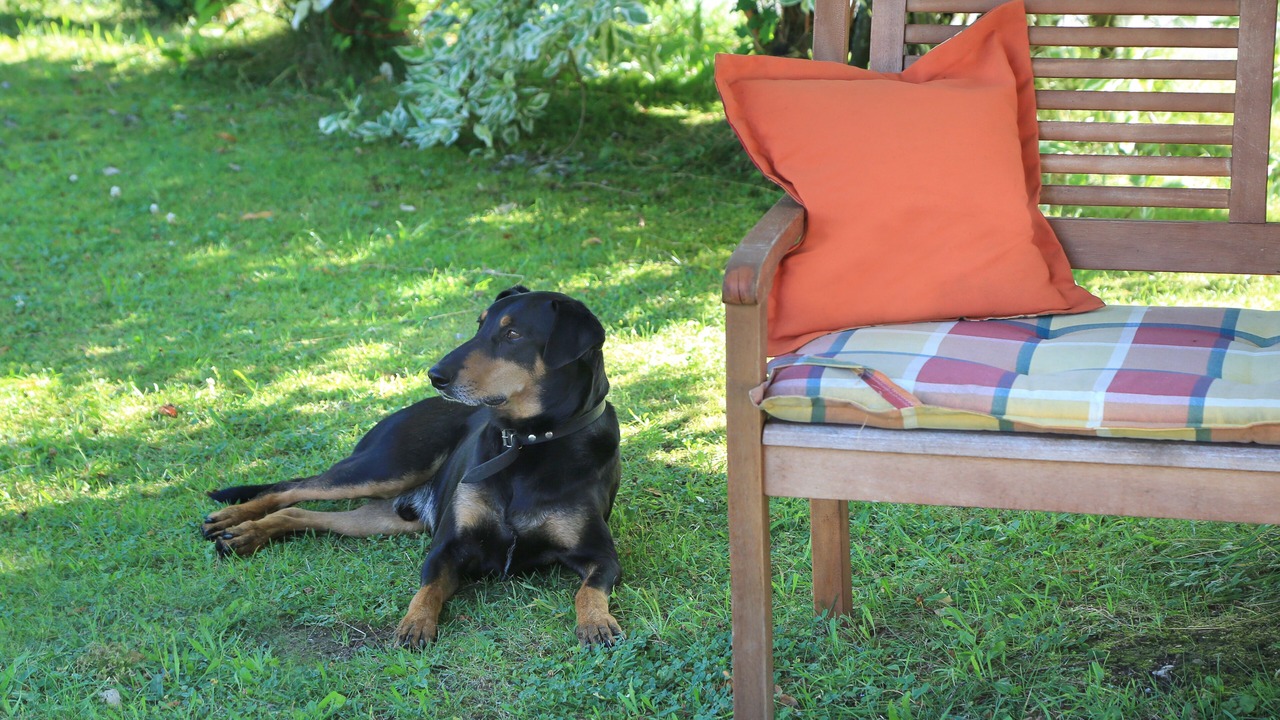 Photo of Outdoor in Siegsdorf
